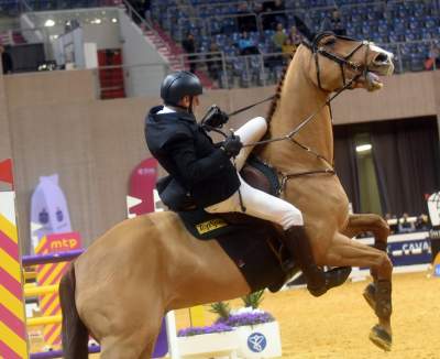 Jak spadać to z... pięknego konia. Wyjątkowa impreza - zdjęcie 4