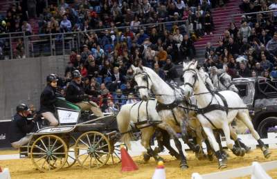 Szalone wyścigi w Tauron Arenie, co za widowisko! - zdjęcie 21