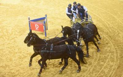 Szalone wyścigi w Tauron Arenie, co za widowisko! - zdjęcie 2