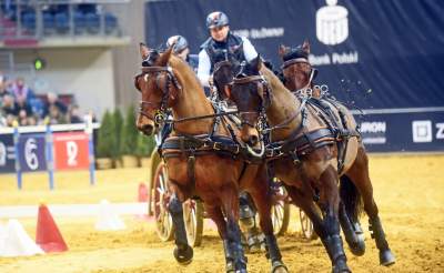 Szalone wyścigi w Tauron Arenie, co za widowisko! - zdjęcie 14