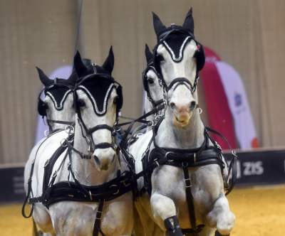 Szalone wyścigi w Tauron Arenie, co za widowisko! - zdjęcie 19