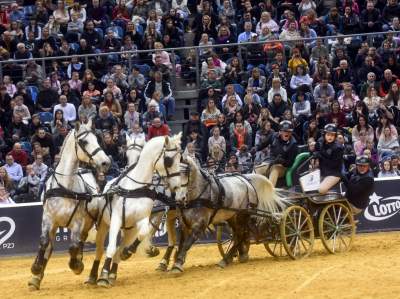 Szalone wyścigi w Tauron Arenie, co za widowisko! - zdjęcie 22