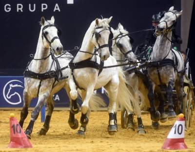 Szalone wyścigi w Tauron Arenie, co za widowisko! - zdjęcie 9