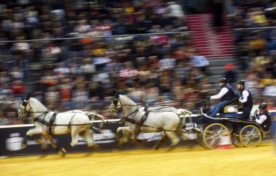 Szalone wyścigi w Tauron Arenie, co za widowisko! - zdjęcie 20