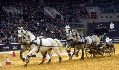 Szalone wyścigi w Tauron Arenie, co za widowisko! - zdjęcie 8