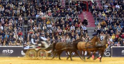 Szalone wyścigi w Tauron Arenie, co za widowisko! - zdjęcie 26