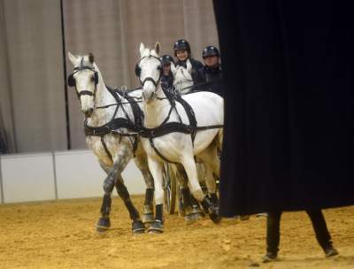 Szalone wyścigi w Tauron Arenie, co za widowisko! - zdjęcie 17