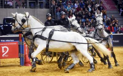 Szalone wyścigi w Tauron Arenie, co za widowisko! - zdjęcie 7