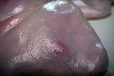 Skojarzenia? To nie będzie łatwy spektakl... - zdjęcie 13