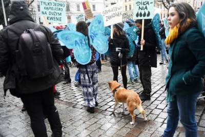 Działo się przed krakowskim magistratem... - zdjęcie 13