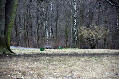 Zabytkowy pawilon w Lesie Wolskim zyskał nowe oblicze - zdjęcie 8