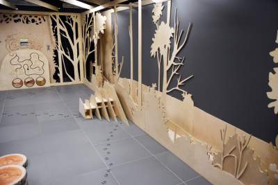 Zabytkowy pawilon w Lesie Wolskim zyskał nowe oblicze - zdjęcie 24