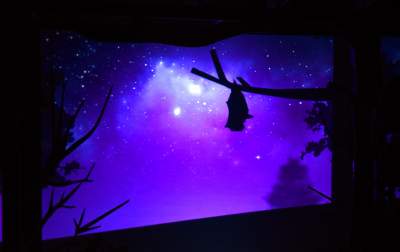 Zabytkowy pawilon w Lesie Wolskim zyskał nowe oblicze - zdjęcie 26