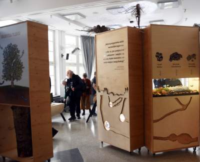 Zabytkowy pawilon w Lesie Wolskim zyskał nowe oblicze - zdjęcie 12