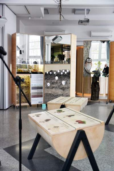 Zabytkowy pawilon w Lesie Wolskim zyskał nowe oblicze - zdjęcie 20