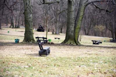 Zabytkowy pawilon w Lesie Wolskim zyskał nowe oblicze - zdjęcie 6