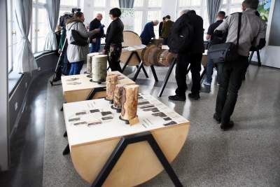 Zabytkowy pawilon w Lesie Wolskim zyskał nowe oblicze - zdjęcie 15