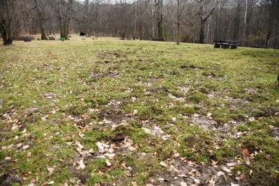 Zabytkowy pawilon w Lesie Wolskim zyskał nowe oblicze - zdjęcie 4