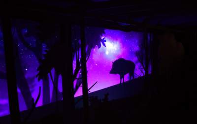 Zabytkowy pawilon w Lesie Wolskim zyskał nowe oblicze - zdjęcie 28