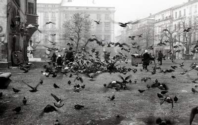 Rynek Główny, 1984 r.