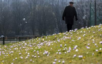 Krokusy na wirusy. Świat jest piękny, na przekór złym wiadomościom - zdjęcie 28