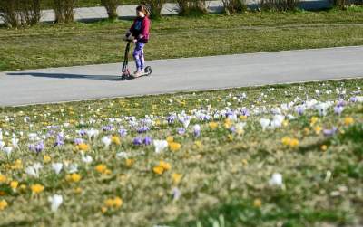 Krokusy na wirusy. Świat jest piękny, na przekór złym wiadomościom - zdjęcie 31