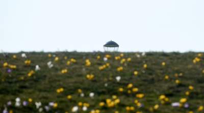 Krokusy na wirusy. Świat jest piękny, na przekór złym wiadomościom - zdjęcie 20