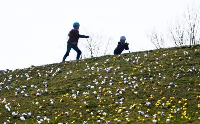 Krokusy na wirusy. Świat jest piękny, na przekór złym wiadomościom - zdjęcie 7