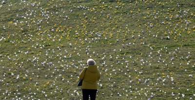 Krokusy na wirusy. Świat jest piękny, na przekór złym wiadomościom - zdjęcie 36
