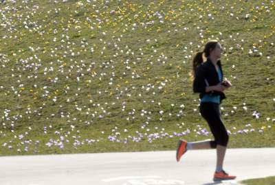 Krokusy na wirusy. Świat jest piękny, na przekór złym wiadomościom - zdjęcie 35