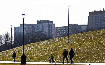 Krokusy na wirusy. Świat jest piękny, na przekór złym wiadomościom - zdjęcie 2