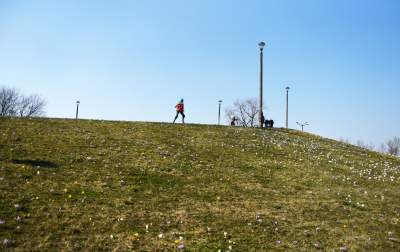 Krokusy na wirusy. Świat jest piękny, na przekór złym wiadomościom - zdjęcie 12