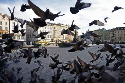 Marzec 2020 zapamiętamy na długo... - zdjęcie 14