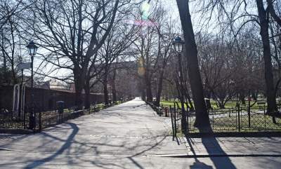 Każde zdjęcie jest symboliczne, najsmutniejsza wiosna od lat fot. Marek Lasyk - zdjęcie 1