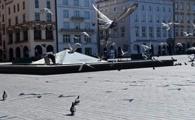 Każde zdjęcie jest symboliczne, najsmutniejsza wiosna od lat fot. Marek Lasyk - zdjęcie 25