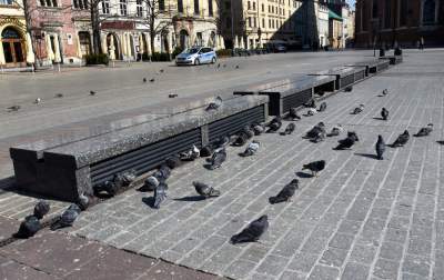 Każde zdjęcie jest symboliczne, najsmutniejsza wiosna od lat fot. Marek Lasyk - zdjęcie 29