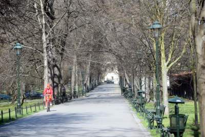 Każde zdjęcie jest symboliczne, najsmutniejsza wiosna od lat fot. Marek Lasyk - zdjęcie 4