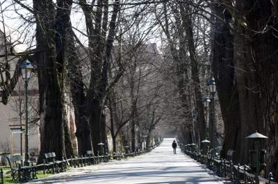 Każde zdjęcie jest symboliczne, najsmutniejsza wiosna od lat fot. Marek Lasyk - zdjęcie 38