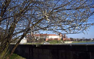 Takich zakazów nigdy do tej pory nie było... fot. Marek Lasyk - zdjęcie 16
