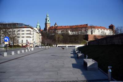 Takich zakazów nigdy do tej pory nie było... fot. Marek Lasyk - zdjęcie 8