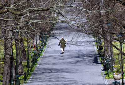 Niedziela Palmowa w czasie epidemii, do katedry weszli nieliczni - zdjęcie 21