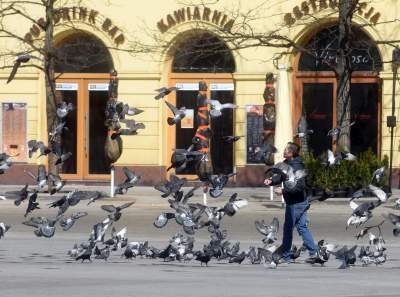 Jeszcze wrócą piękne dni... Kraków nie traci ducha - zdjęcie 9