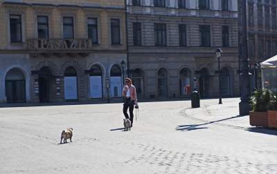 Jeszcze wrócą piękne dni... Kraków nie traci ducha - zdjęcie 16