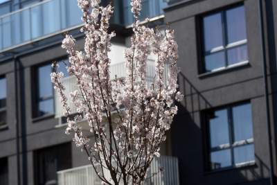 A na zewnątrz robi się coraz piękniej... - zdjęcie 13