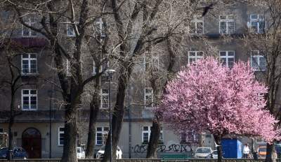 A na zewnątrz robi się coraz piękniej... - zdjęcie 9