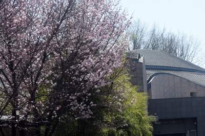 A na zewnątrz robi się coraz piękniej... - zdjęcie 16