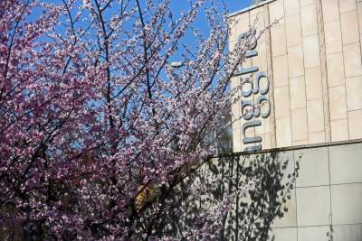 A na zewnątrz robi się coraz piękniej... - zdjęcie 7