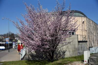 A na zewnątrz robi się coraz piękniej... - zdjęcie 14