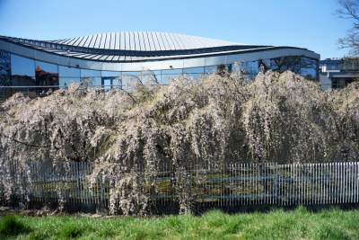A na zewnątrz robi się coraz piękniej... - zdjęcie 4