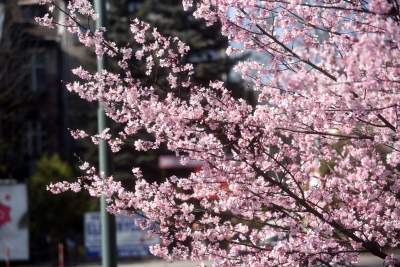 A na zewnątrz robi się coraz piękniej... - zdjęcie 8